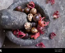 Karsa挺进下一轮再成焦点的简单介绍 Karsa挺进下一轮再成焦点的简单介绍